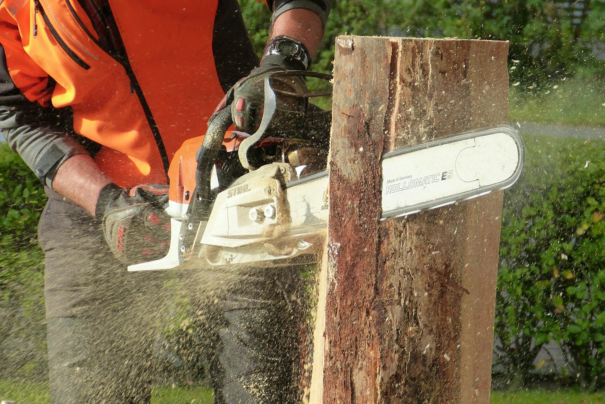 Man Cutting Trees Using Chainsaw