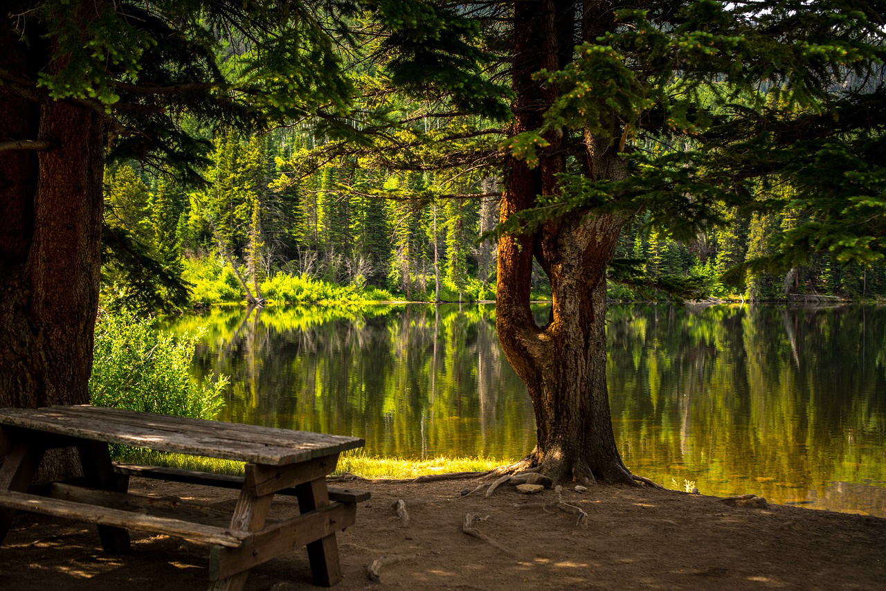 Picnic table sitting in the woods right next to a reflecting river.