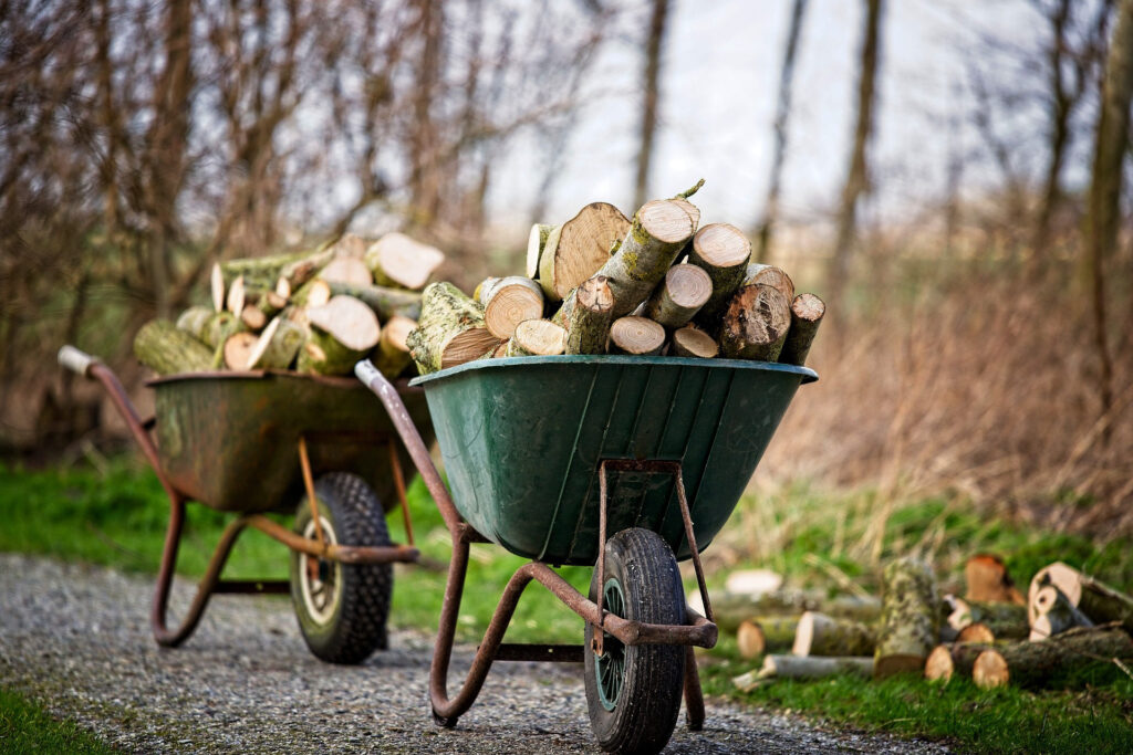 Green and brown wheelbarrows filled with logs on a concrete path near the woods.